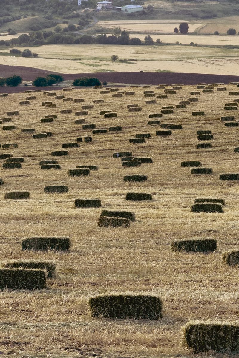 Peaceful rural scene with hay bales on a sunny day in Palu, Elazığ, Türkiye.